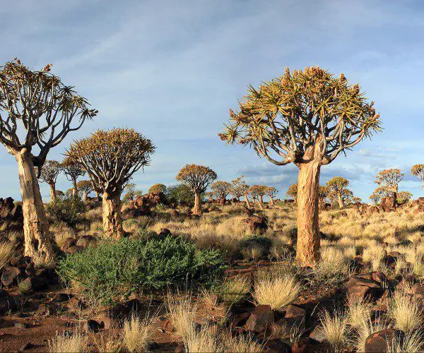 Landschap Namibië met blauwe lucht, Paysage de Namibië avec ciel bleu