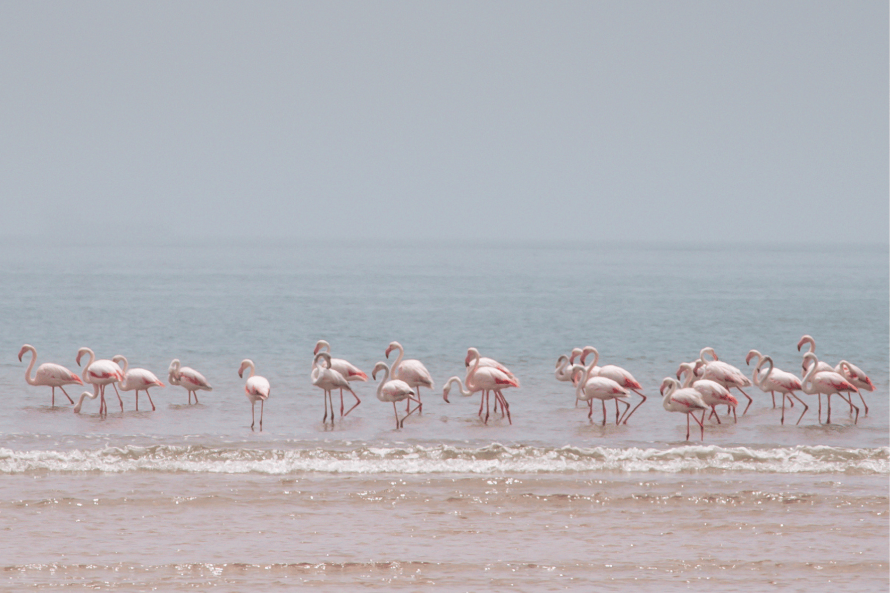 Walvis Bay