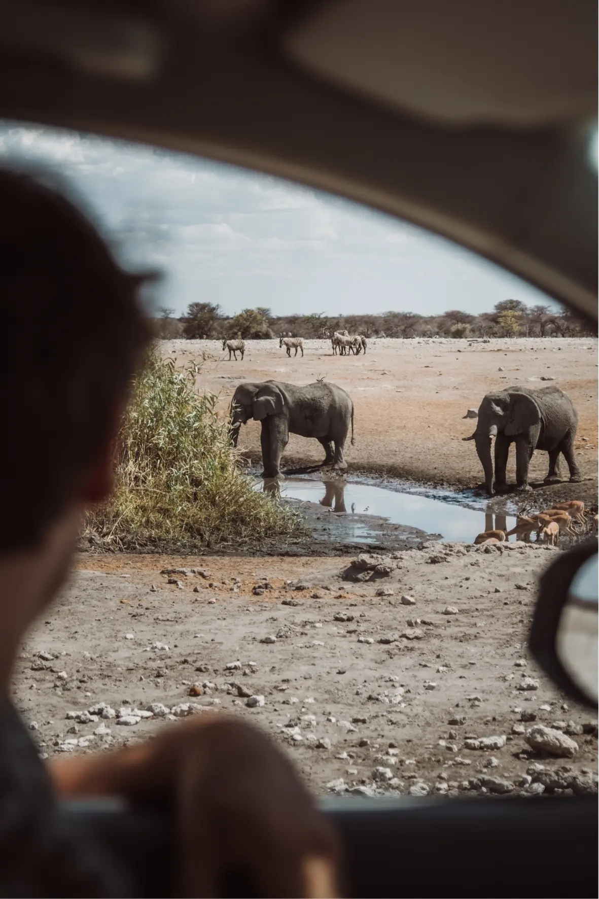 Etosha Nationaal Park