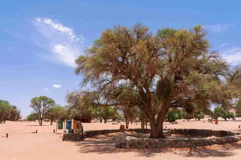 Namibië kamperen