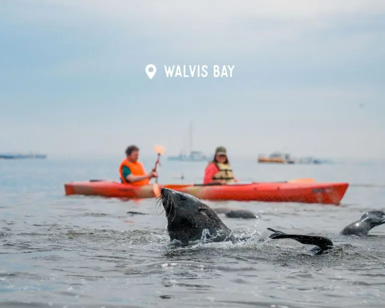 Kayak - Walvis Bay - Namibia Nomads