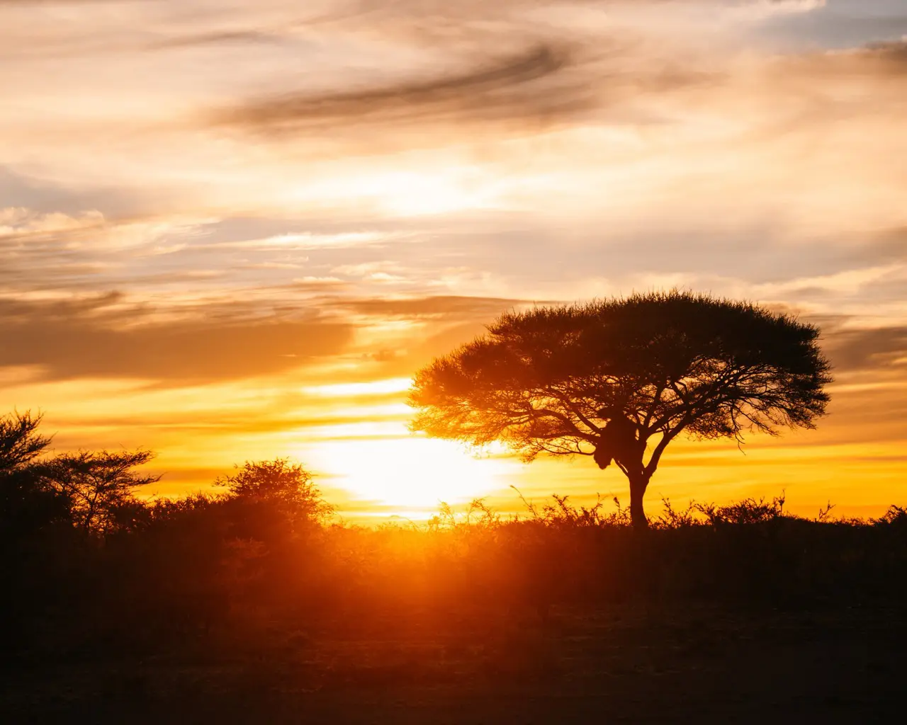 Morning game drive - Etosha - Namibia Nomads - sunrise