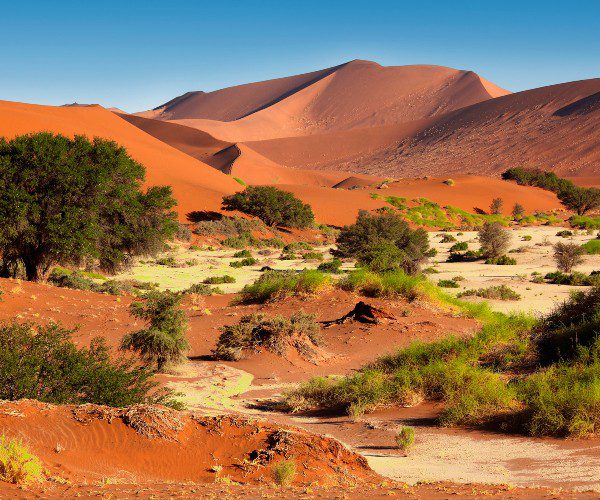 Woestijn Namibië, Désert de Namibië