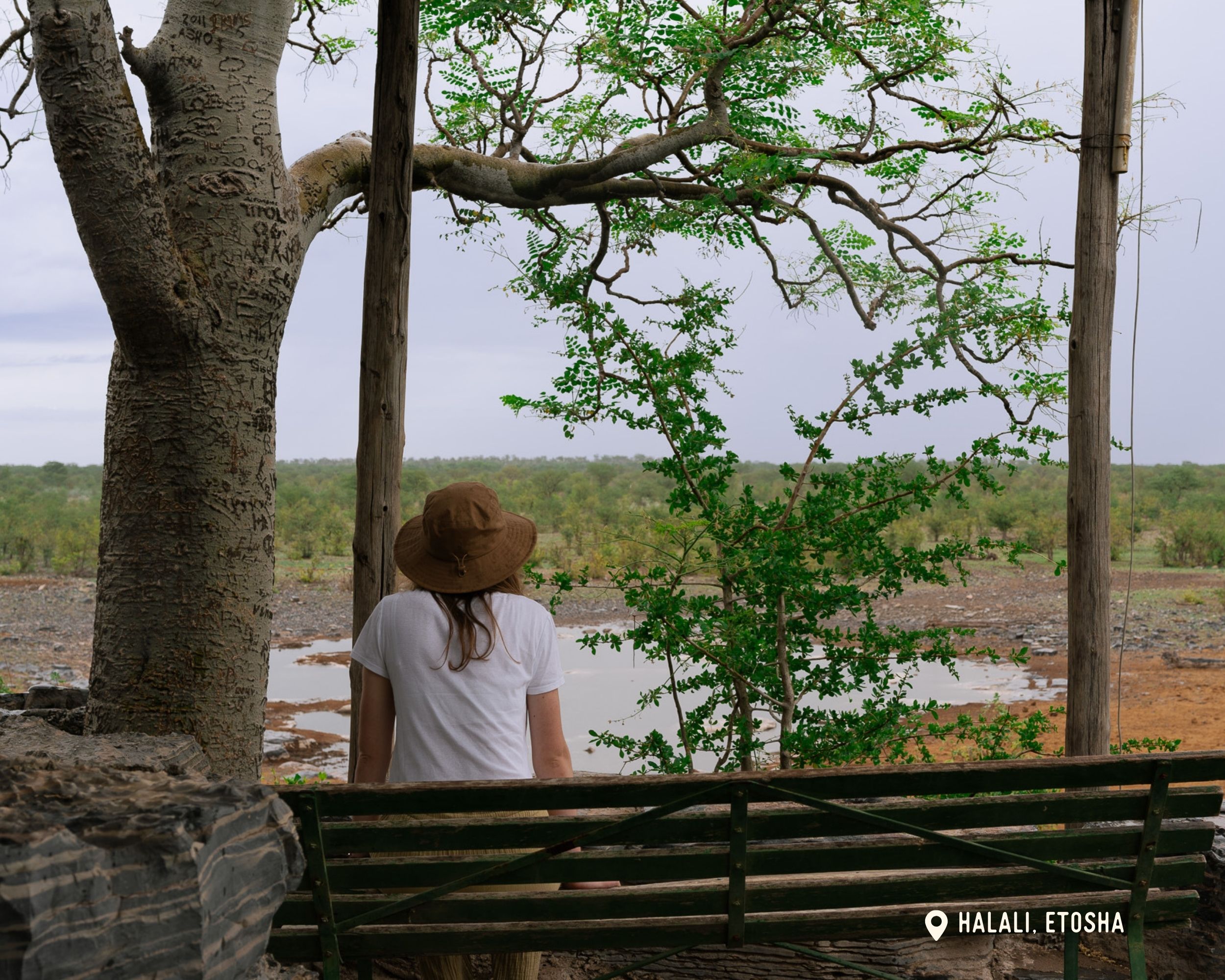 Halali - Etosha National Park - Lodges - Namibia Nomads