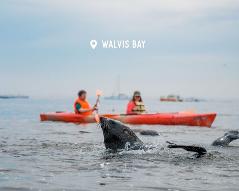 Kayak - Walvis Bay - Namibia Nomads