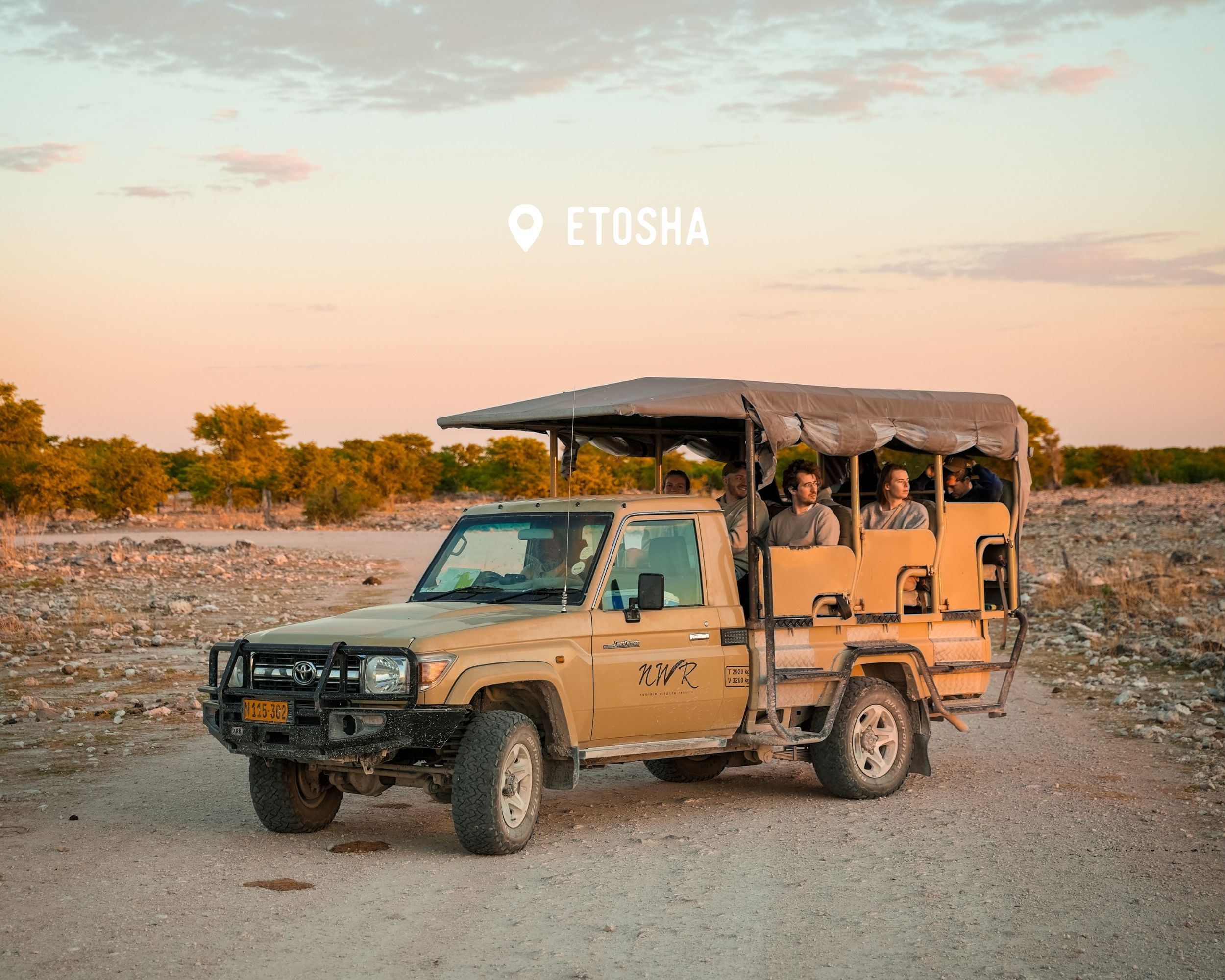 Morning game drive - Etosha - Namibia Nomads
