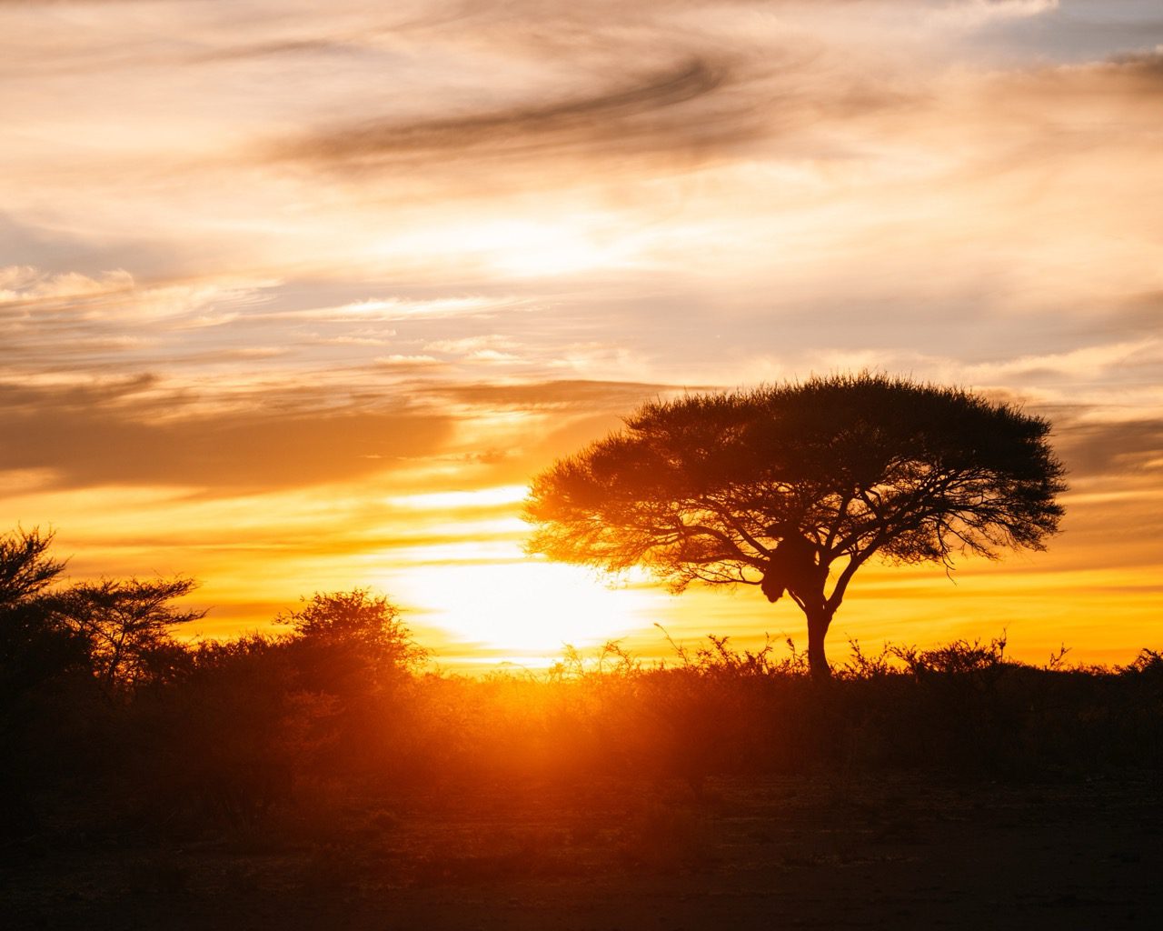 Morning game drive - Etosha - Namibia Nomads - sunrise